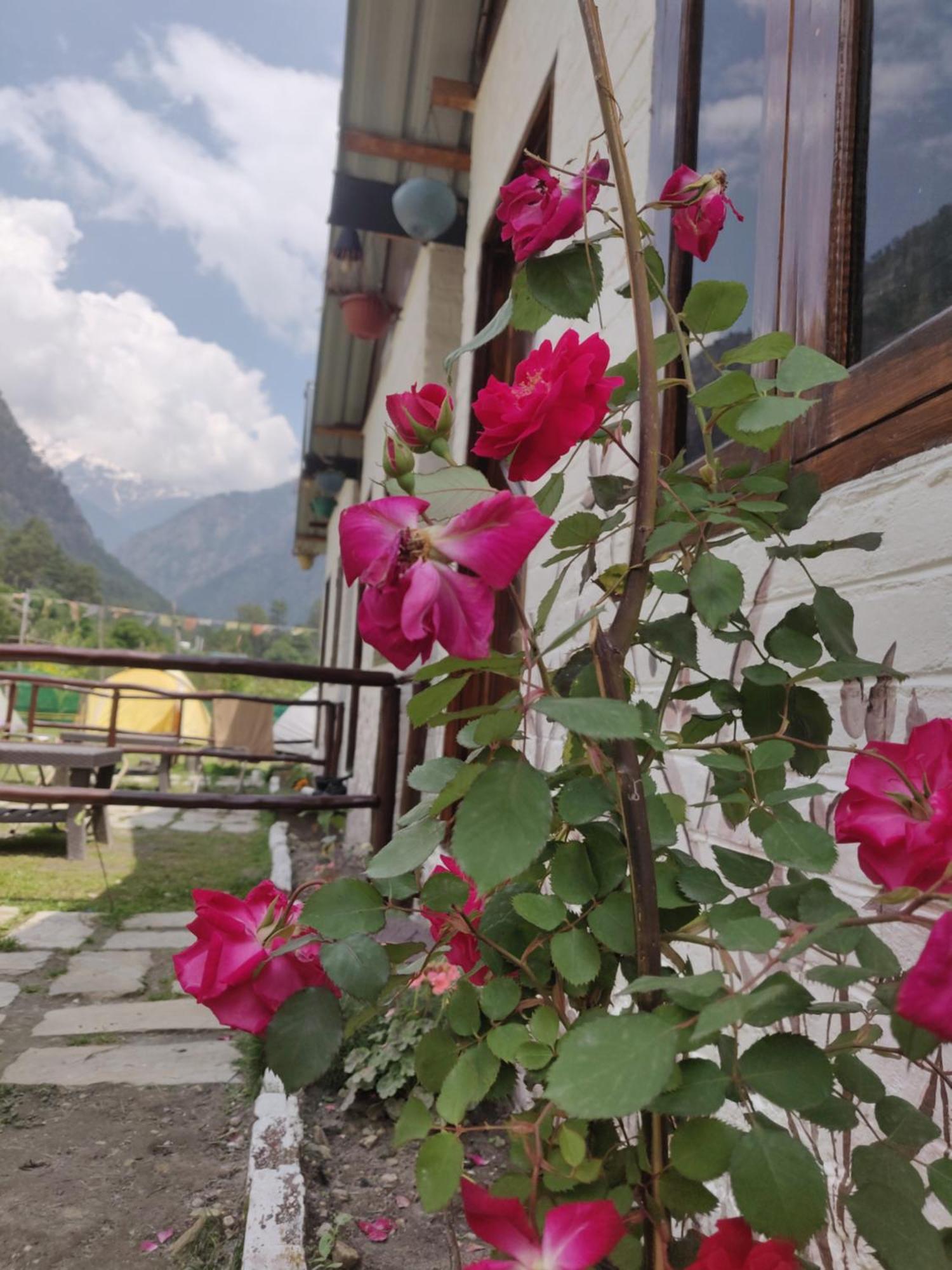 Himtrek Stays, Kasol Exterior photo